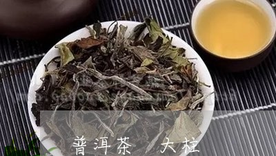 普洱茶 大柱/2023042887784